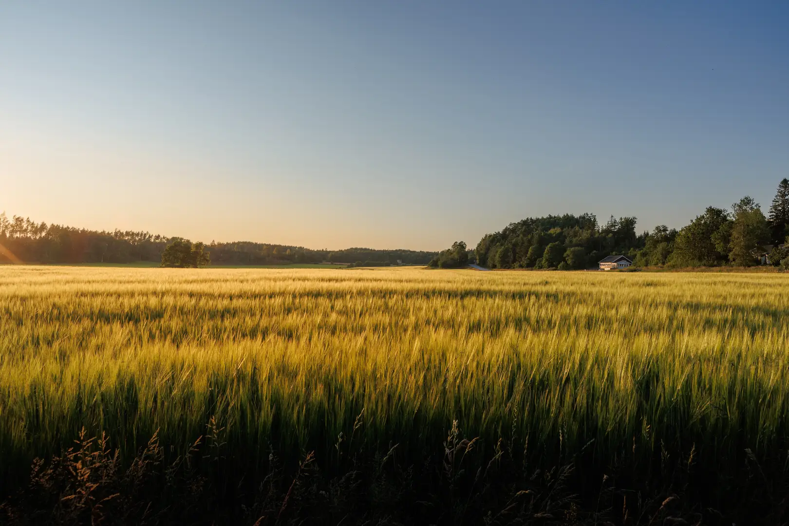 Radonsanering Lindesberg